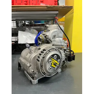 Motore pronto pista 125cc KZ10 TM KART USATO