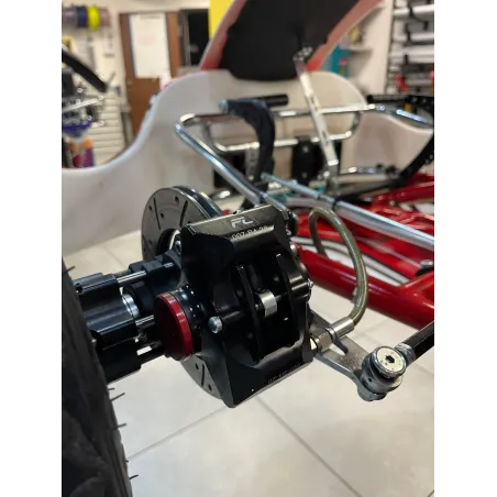 Kart completo BIREL ART - TM KART USADO