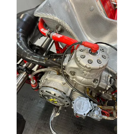 Complete kart BIREL ART - TM KART USED