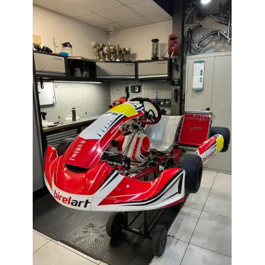 Kart completo BIREL ART - TM KART USATO