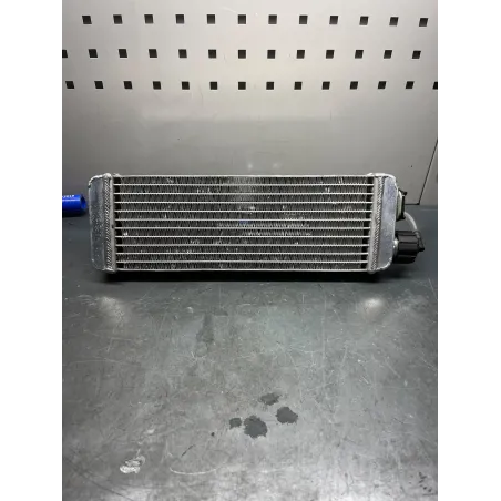 Motor listo para pista X30 WATER SWIFT MINI IAME USADO