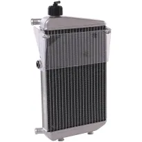Complete radiator DD2 ROTAX