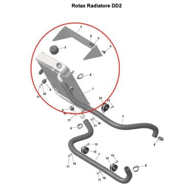 Radiador completo DD2 ROTAX