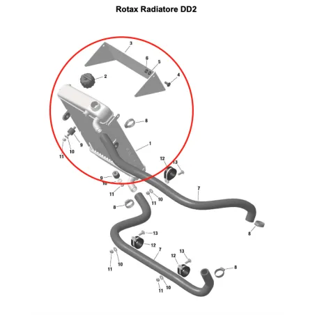 Radiador completo DD2 ROTAX