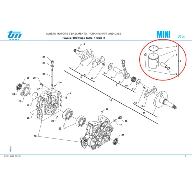 Complete piston SK with DLC pin MINI TM KART