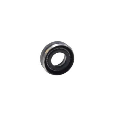 oil seal 6x11x3/4,2 MICRO-MINI-JUNIOR-SENIOR-DD2 ROTAX