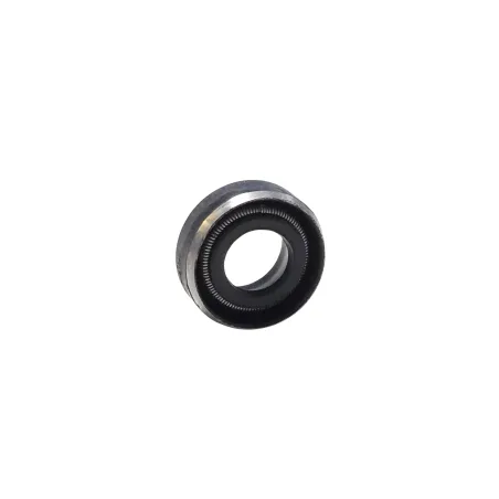 oil seal 6x11x3/4,2 MICRO-MINI-JUNIOR-SENIOR-DD2 ROTAX
