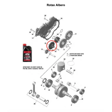 Water pump gear 28/13 MICRO-MINI-JUNIOR-SENIOR ROTAX