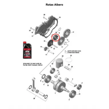 Engranaje bomba de agua 19Z MICRO-MINI-JUNIOR-SENIOR ROTAX