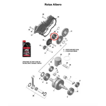 Water pump gear 19Z MICRO-MINI-JUNIOR-SENIOR ROTAX