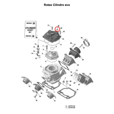 Water probe screw MICRO-MINI-JUNIOR-SENIOR-DD2 ROTAX