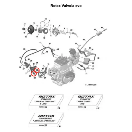 Antivibratorio 18x15xM6 35mm MICRO-MINI-JUNIOR-SENIOR-DD2 ROTAX