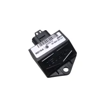 Centralina elettronica DD2 evo ROTAX
