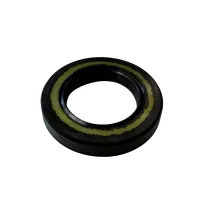 Engine block seal ring Mini IAME