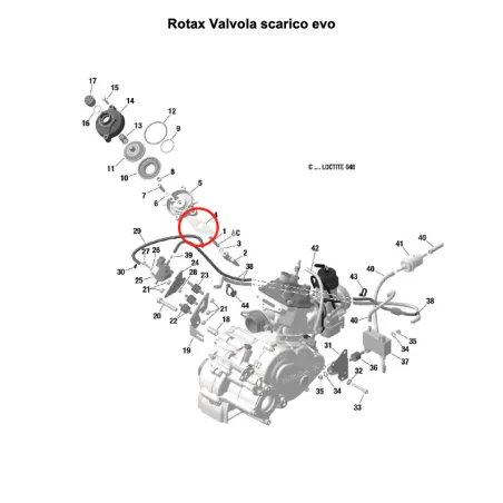 Exhaust valve gasket MICRO-MINI-JUNIOR-SENIOR-DD2 ROTAX