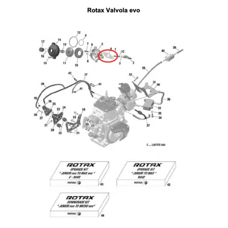 Exhaust valve gasket MICRO-MINI-JUNIOR-SENIOR-DD2 ROTAX