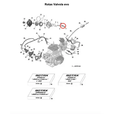 Valvola di scarico MICRO-MINI-JUNIOR-SENIOR-DD2 ROTAX