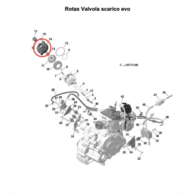 Coperchio valvola evo MICRO-MINI-JUNIOR-SENIOR-DD2 ROTAX