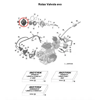 Coperchio valvola evo MICRO-MINI-JUNIOR-SENIOR-DD2 ROTAX