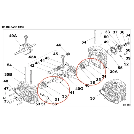 Cuscinetto a rulli di banco 6204 Mini IAME