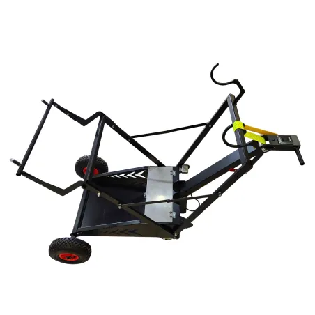 Carro eléctrico ERIK KART