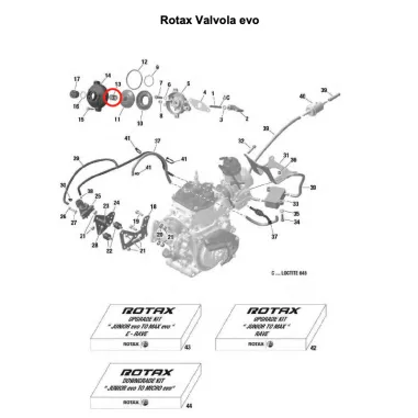 Molla compressione verde per valvola di scarico SENIOR-DD2 ROTAX