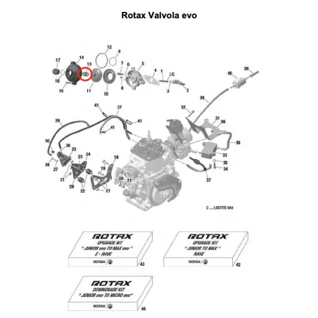 Muelle de compresión verde para válvula de descarga SENIOR-DD2 ROTAX