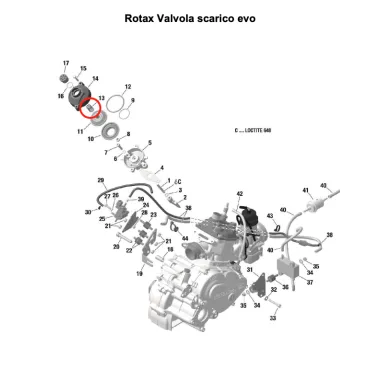 Molla compressione verde per valvola di scarico SENIOR-DD2 ROTAX