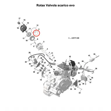 Anello tenuta piccolo 70-1,7-0,3 SENIOR-DD2 ROTAX