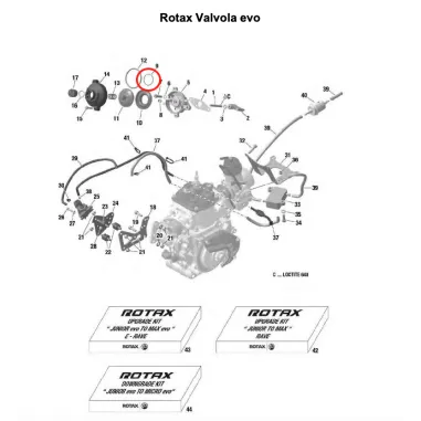 Anello tenuta piccolo 70-1,7-0,3 SENIOR-DD2 ROTAX
