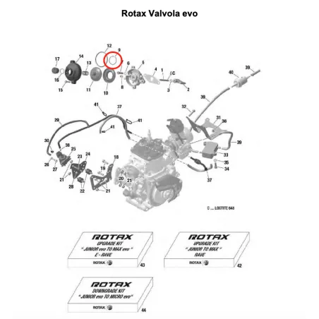 Anillo de sujeción pequeño 70-1,7-0,3 70-1,7-0,3 SENIOR-DD2 ROTAX