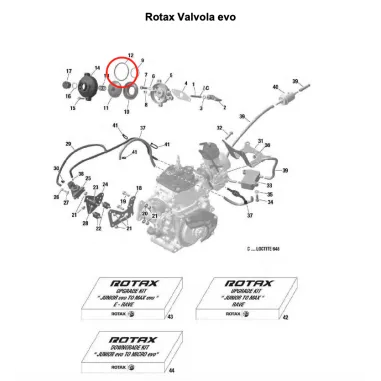 Anillo de sujeción grande 134-3,0-0,65 SENIOR-DD2 ROTAX