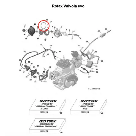 Big held ring 134-3,0-0,65 SENIOR-DD2 ROTAX