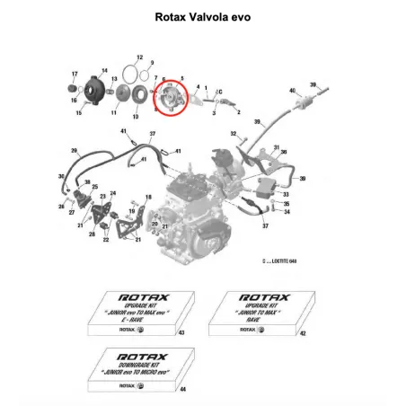 Alloggio con paraolio per valvola di scarico evo SENIOR-DD2 ROTAX