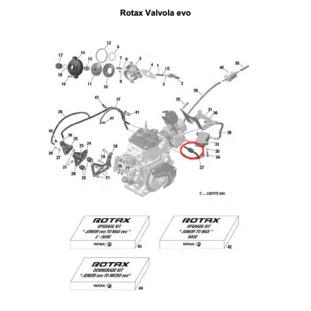 Válvula sistema neumático verde SENIOR-DD2 ROTAX