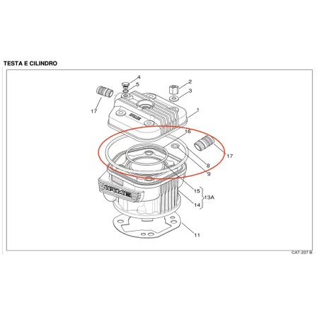 Guarnizione testa 0-ring X30 125cc IAME