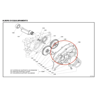 Guarnizione coperchio X30 IAME