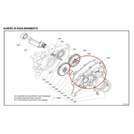 Guarnizione coperchio X30 IAME