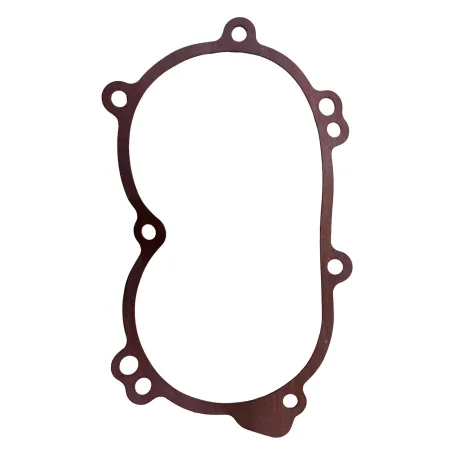 Guarnizione coperchio X30 IAME