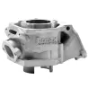Cylinder and head ROTAX BRP