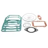 Gasket and Oil seal ROTAX BRP